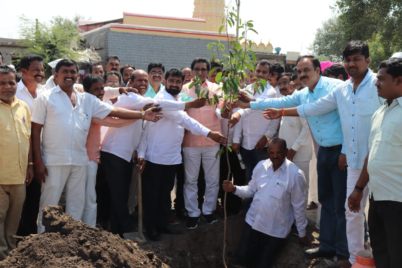 दुष्काळी बीड जिल्ह्यात मराठवाडा चॅरिटेबल ट्रस्टतर्फे दोनशे झाडांचे संरक्षक जाळीसह वृक्षारोपण. 