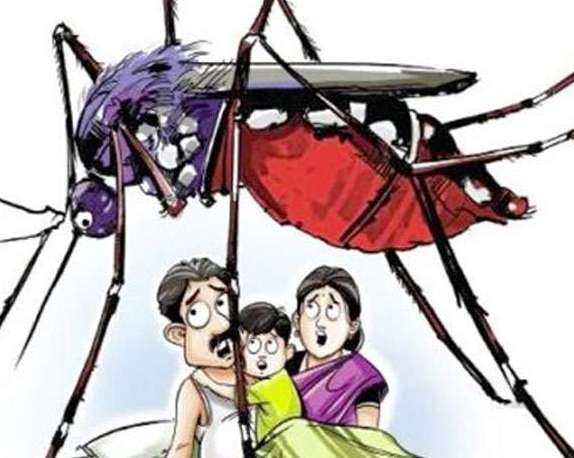 पिंपरी चिंचवड शहरात डेंग्यूचे थैमान; ८५९ संशयित रुग्णांपैकी २१८ “पॉझिटीव्ह’, आरोग्य विभाग सुस्त. 