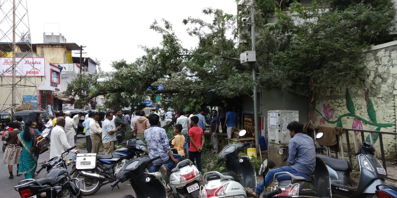 आमदार चाबूकस्वारांच्या कार्यालयाशेजारी वृक्ष उन्मळून झाली वाहतुककोंडी.