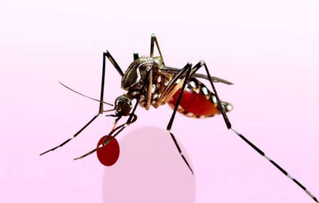 प्रभाग क्रमांक ९ च्या आरोग्य समस्या सोडवा, अन्यथा शिवसेना हिसका दाखवणार - प्रदीप चव्हाण