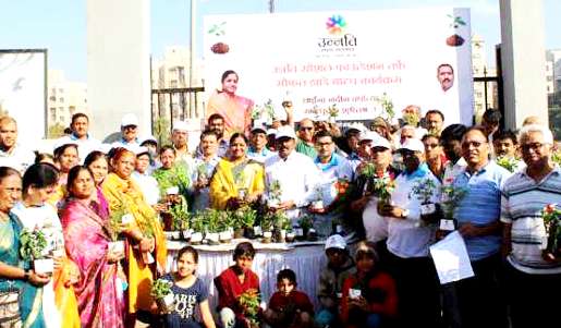 पर्यावरणाचे संवर्धन, जतन व संरक्षणासाठी वृक्ष लागवड आणि वृक्ष संवर्धनास प्राधान्य देणे आवश्यक -  संजय भिसे