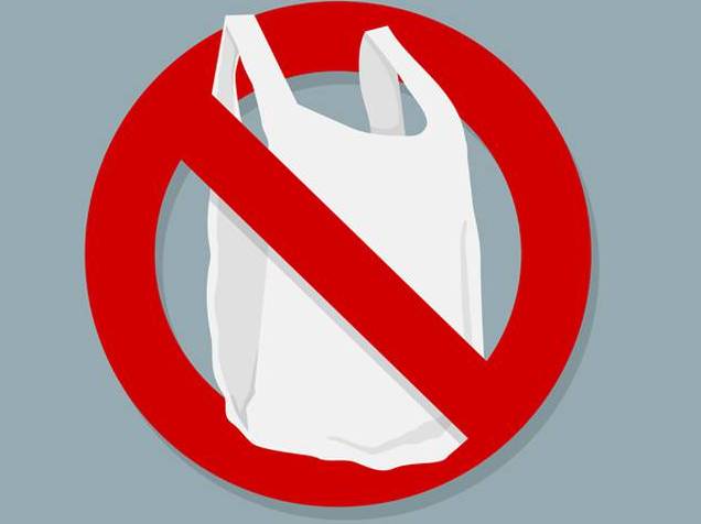 महापालिकेचा प्लास्टिक पिशव्यांचा वापर करणा-या दुकानांवर कारवाईचा बडगा