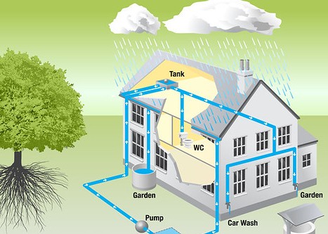 पर्यावरण संवर्धन समिती राबविणार, महापालिकेच्या आणखी २२ शाळांमध्ये रेन वॉटर हार्वेस्टिंग प्रकल्प