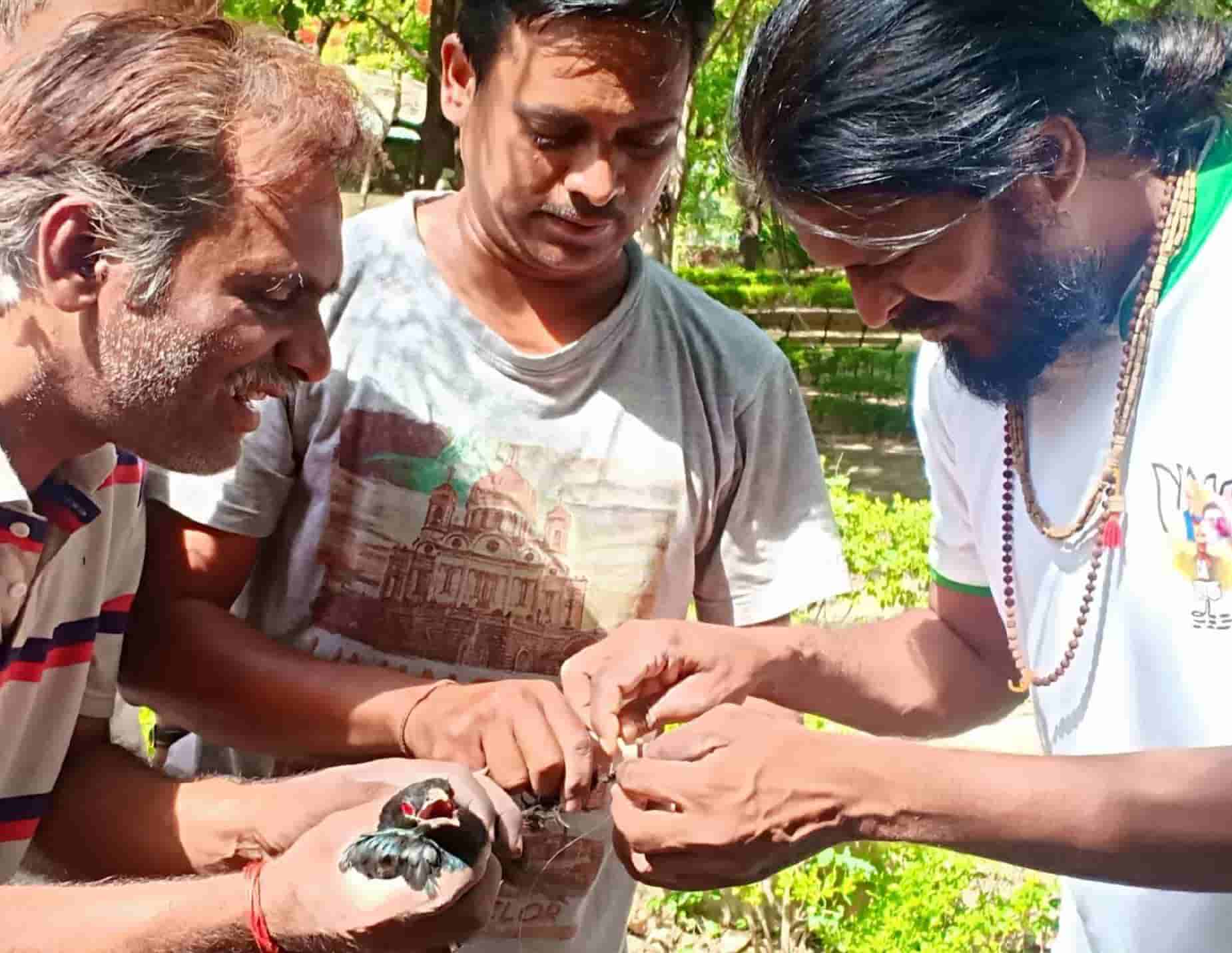 चिनी मांज्याची कोकिळा शिकार; पर्यावरण अभ्यासक विजय पाटील यांच्या प्रयत्नाने सुटका