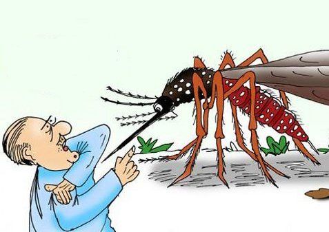 बोपोडी व परिसरात डासांचा उपद्रव वाढला