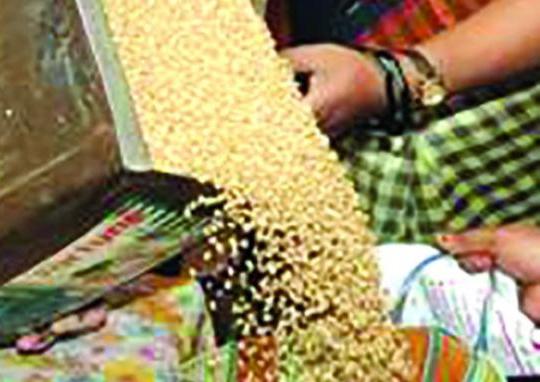 निगडीतील शिधापत्रिका कार्यालयाने शिधापत्रिकाधारकांना केले डाळीचे वाटप