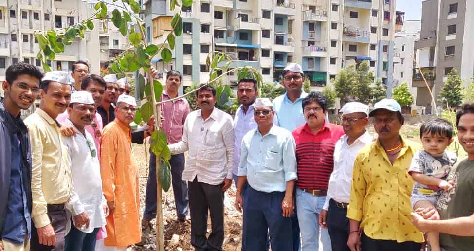 मराठवाडा चॅरीटेबल ट्रस्ट तर्फे वटवृक्षांचे रोपण; यंदा जाळीसह पाच हजार झाडे लावण्याचे उद्दिष्ट
