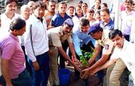 ''विठ्ठल विठ्ठल, जय हरित विठ्ठल'' या नामघोषाने ''हरित वारी अभियान'' वृक्षारोपणाने संपन्न