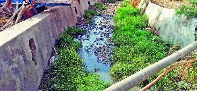 शहरातील सर्व नाले व पावसाळी गटारे अद्यापही सफाईच्या प्रतीक्षेत - नसीम शेख