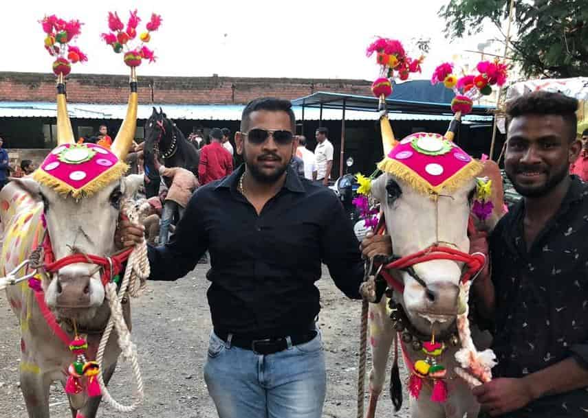 शहरात बैलपोळा उत्साहात साजरा