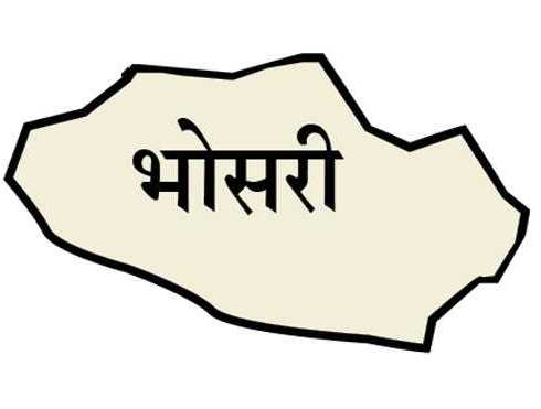 भोसरी विधानसभा मतदारसंघासाठी २० उमेदवारांनी केले २७ अर्ज दाखल
