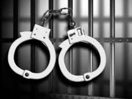 वाकडमधील मोका अंतर्गत गुन्ह्यातील दोन आरोपींच्या पोलिसांनी आवळल्या मुसक्या....