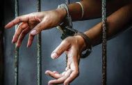 भोसरीत दहशत माजविणाऱ्या ज्ञानेश्वर उर्फ ज्ञान्या लांडगे टोळीवर मोका अंतर्गत कारवाई...