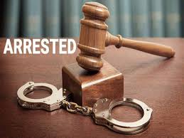 भोसरीत तडीपार गुन्हेगाराला अटक; शहरातील मोठ्या गुन्ह्यांची उकल...