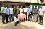 घरकाम करणाऱ्या बेली डान्सरने घर मालकाला घटला लाखोंचा गंडा; सांगवीतील घटना...