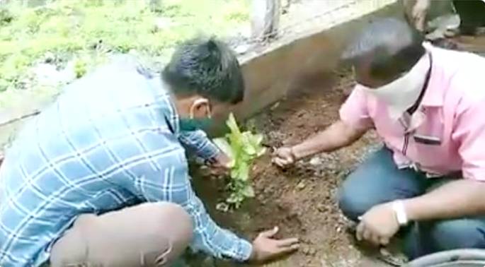 जाधववाडीत सावतामाळी रिक्षा संघटनेच्या वतीने वृक्षारोपण...