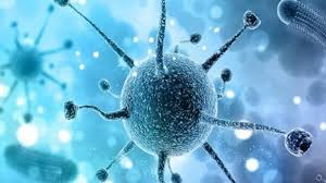 पिंपरी चिंचवड शहराची वाटचाल पुण्याच्या दिशेने; आज २०१ जण कोरोनाबाधित...