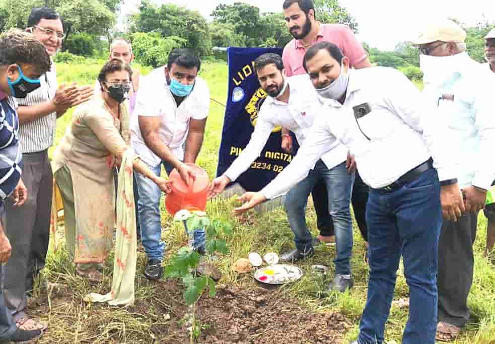 लायन्स क्लब ऑफ पिंपरी आणि दृष्टी फाऊंडेशनच्या वतीने डेअरी फार्म परिसरात वृक्षारोपण...