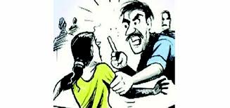 सांगवीत विधवा महिलेस शिवीगाळ; चौघांच्या विरोधात गुन्हा दाखल...