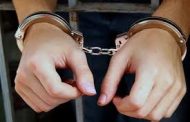 तलवारीने केक कापणाऱ्या आरोपींच्या पोलिसांनी आवळल्या मुसक्या...