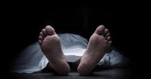 हिंजवडीत लेबर कॉन्ट्रॅक्टरचा मृतदेह आढळला सडलेल्या अवस्थेत...