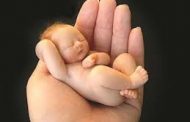 दापोडी-सांगवी रस्त्यावर आढळले कुजलेल्या अवस्थेत मृत अर्भक...