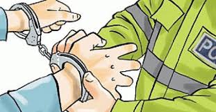 पेट्रोल पंपावर दरोडा टाकण्याच्या तयारीत टोळीचा पोलिसांकडून पर्दाफाश...