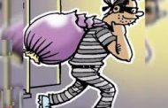 पिंपळे गुरव परिसरात चोरट्यांचा धुमाकूळ..