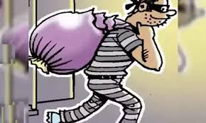 पिंपरीतील टाटा मोटर्स कंपनीत चोरीचा प्रयत्न..