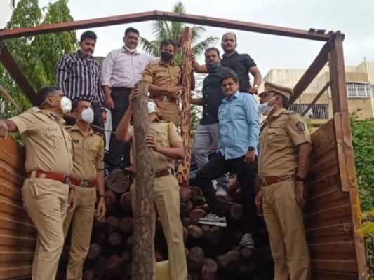 ताथवडेत साडेसहा कोटींचे रक्तचंदन जप्त..