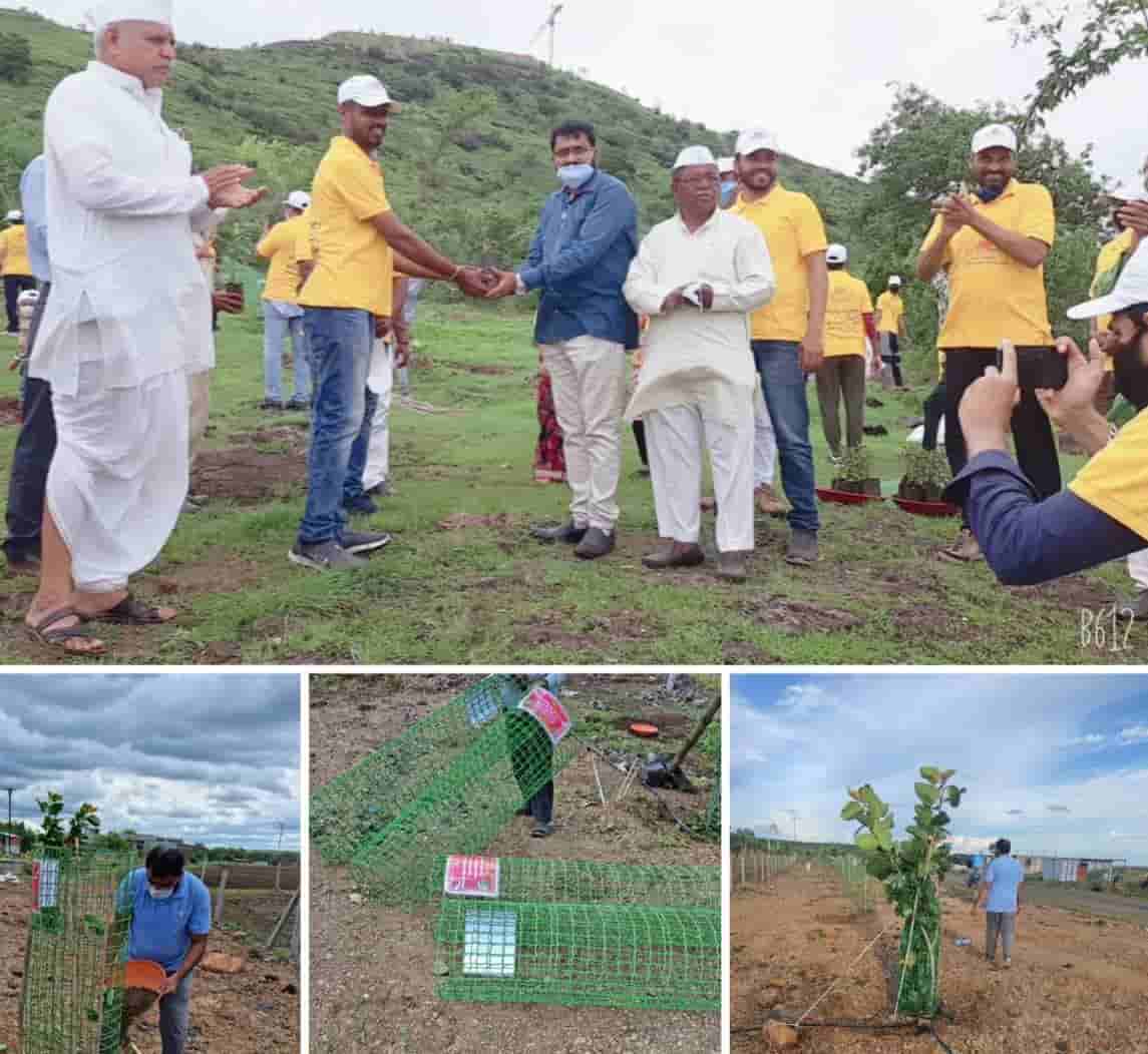 'किमान एक झाड लावून संगोपन करा; लाखो झाडं जगतील'..