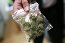 भोसरीतील तिघा जेष्ठांवर गांजा विक्री प्रकरणी गुन्हा दाखल..