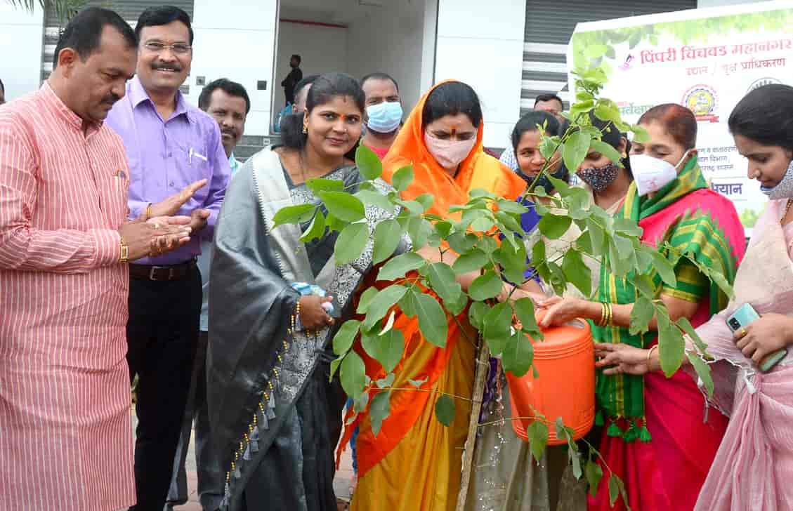 जाधववाडीत १६४१ मीटर लांबीच्या रस्त्यावरील दुभाजकामध्ये वृक्षारोपण..