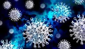 पिंपरी चिंचवड शहरात आज २१५ जणांना बाधा; दोघांचा मृत्यू तर, २३३ जणांना डिस्चार्ज…