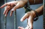 पोलिसाच्या गालावर चापट मारून धक्काबुक्की..