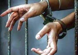 पोलिसाच्या गालावर चापट मारून धक्काबुक्की..