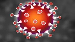 पिंपरी चिंचवड शहरात आज १७३ जणांना बाधा; एकाचा मृत्यू तर, ११६ जणांना डिस्चार्ज…