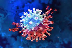 पिं. चिं. शहरात आज १८४ जणांना बाधा; एकाचा मृत्यू तर, २५४ जणांना डिस्चार्ज…