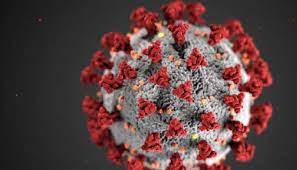 पिं. चिं. शहरात आज १५५ जणांना बाधा; दोघांचा मृत्यू तर, १०१ जणांना डिस्चार्ज…