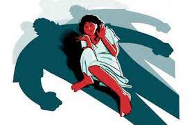 पतीकडून विवाहितेवर अनैसर्गिक शारीरिक संबंध तर सासऱ्याकडून विनयभंग..