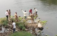 चिंचवडगाव येथील पवना नदीपात्रात आढळला जेष्ठ महिलेचा मृतदेह..