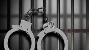बेकायदेशीरपणे पिस्तुल बाळगणाऱ्या तरुणाला थेरगावात अटक..