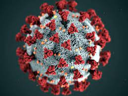 शहरात आज ७७ कोरोनाबाधित; एकही मृत्यू नाही; १३० कोरोनामुक्त…