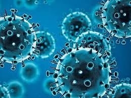 शहरात आज ४८ कोरोनाबाधित; एकही मृत्यू नाही; ८९ कोरोनामुक्त…