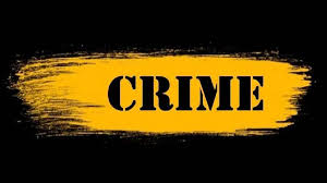 पिंपळे गुरव काटेपुरम चौकातील गोळीबार प्रकरणी पोलिसांकडून आरोपींवर मोकाची कारवाई..