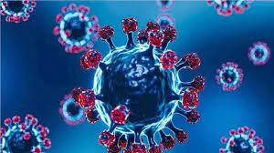 पिंपरी चिंचवड शहरात आज ५४५ कोरोनाबाधित; चार जणांचा मृत्यू; ९२८ कोरोनामुक्त…