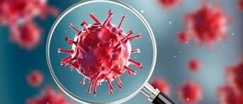 पिंपरी चिंचवड शहरात आज ५४ कोरोनाबाधित; एकही मृत्यू नाही; ११४ कोरोनामुक्त…