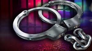 मोशीत दोन तडीपार गुंडांना पोलिसांकडून अटक..