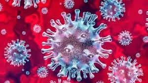 पिंपरी चिंचवड शहरात आज ९ जण कोरोनाबाधित; एकही मृत्यू नाही…