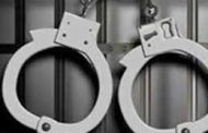 संतोष जाधव टोळीतील आरोपींकडून सात देशी बनावटीची तेरा पिस्तुले जप्त..